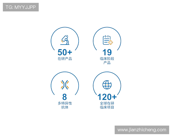 尊龙z6网娱乐app官方正版下载流程及常见问题解决方案